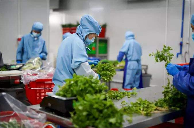 深圳食堂承包的發展是怎樣？